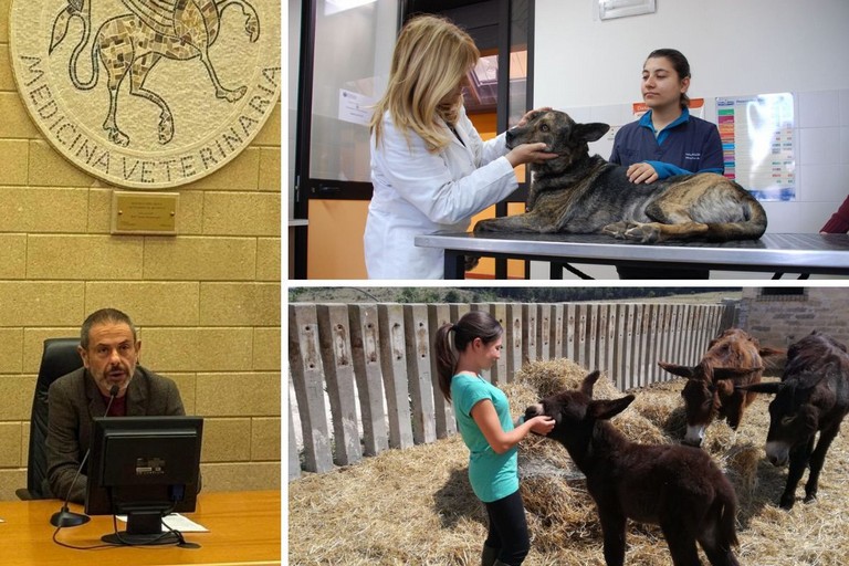 Giornata Nazionale della Prevenzione Veterinaria