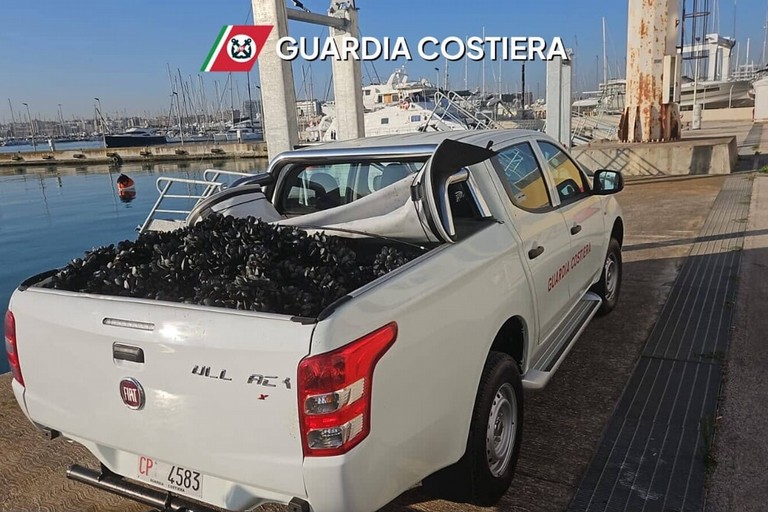 Sequestro cozze. <span>Foto Guardia Costiera </span>