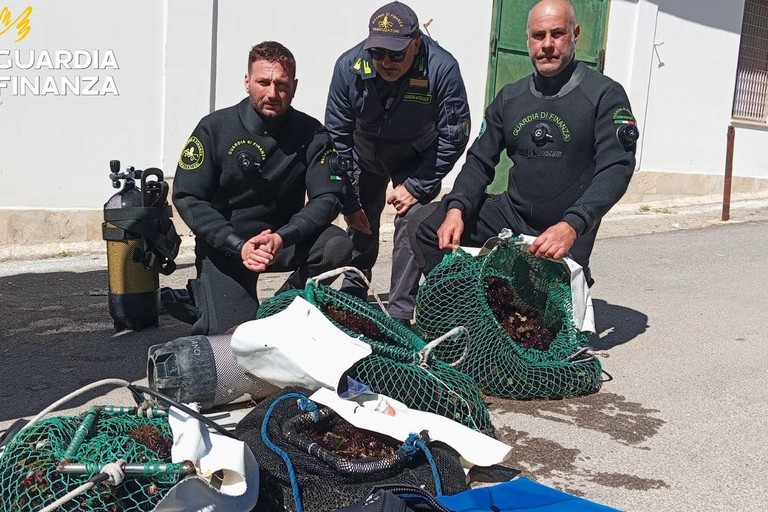Guardia di Finanza