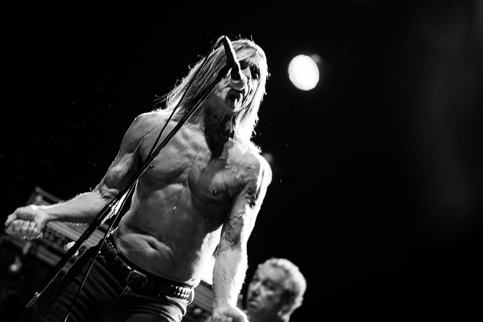 Iggy Pop