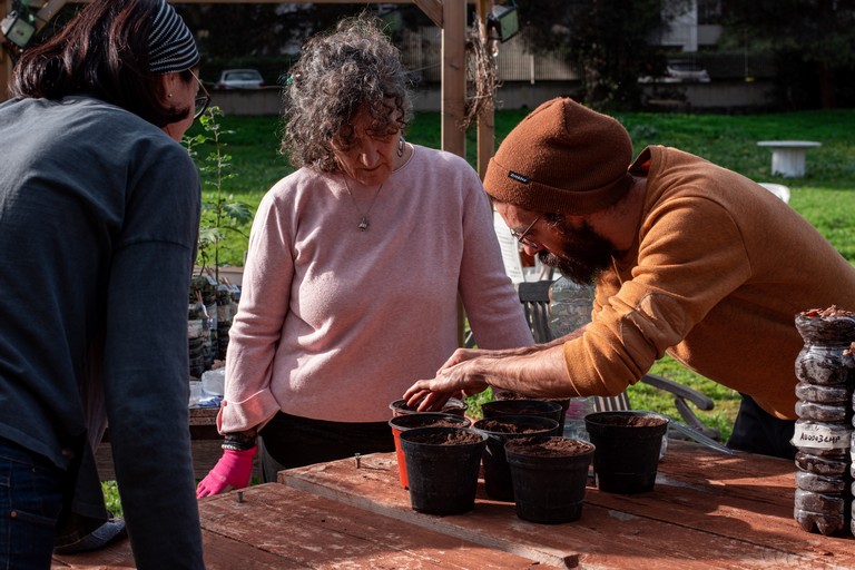 Il primo bosco didattico a Bari