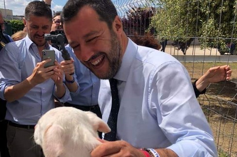 Salvini al canile sanitario di Bari