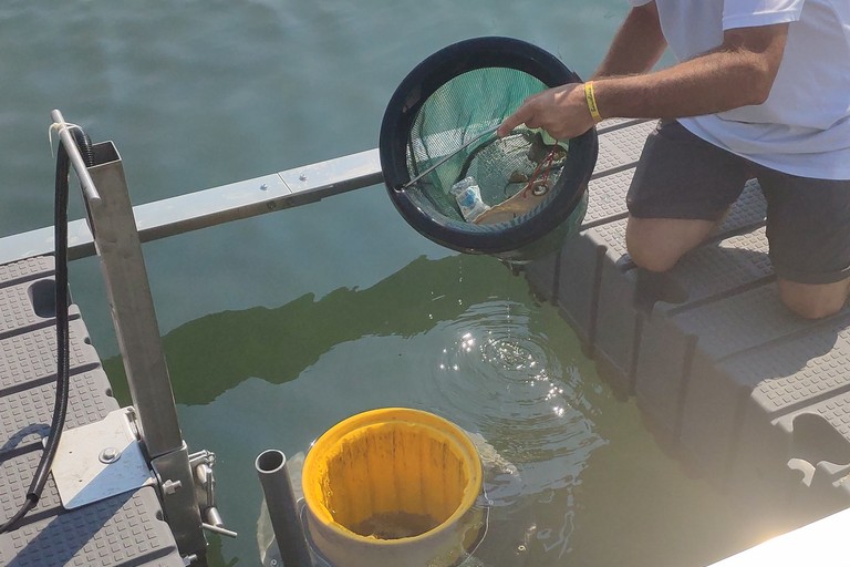 Seabin: installato il primo cestino automatico per i rifiuti del mare 