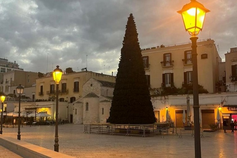 L'albero in piazza Ferrarese