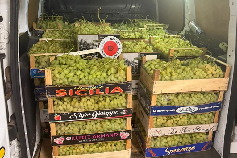 Uva rubata