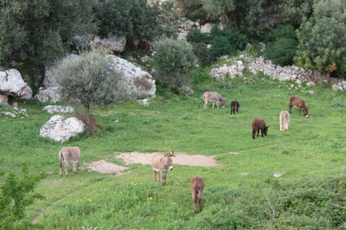 Lama Belvedere Monopoli. <span>Foto Comune di Monopoli</span>