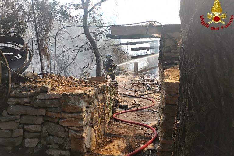 Incendio presso il Ranch Natalino di Bitritto: intervenuti i Vigili del Fuoco. <span>Foto Vigili del fuoco</span>
