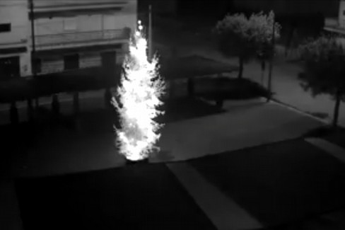 L'albero di Natale vandalizzato a Triggiano