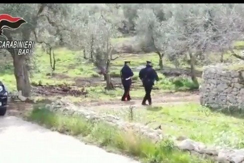 L'operazione dei carabinieri a Toritto