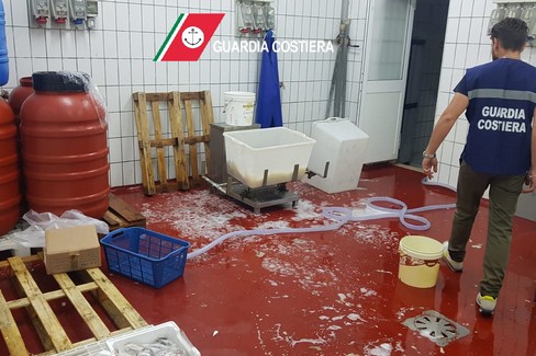 L'operazione della Guardia di Finanza a Bari