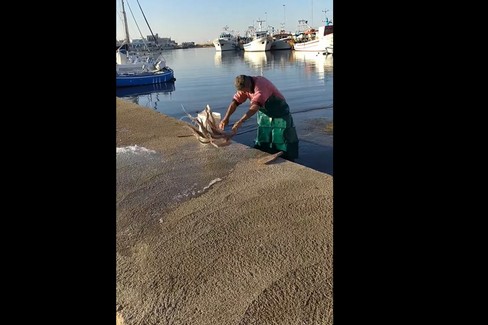 Il video  "incriminato " del pescatore