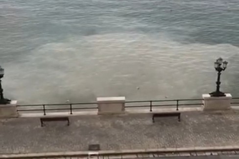 Lo sversamento in mare nei pressi del centro di Bari
