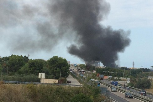Continua a bruciare la campagna di Bari, sul posto i vigili e i rangers