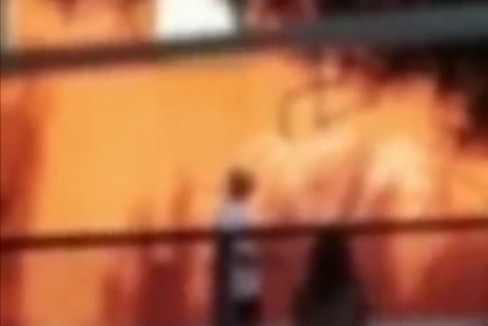 Vandali nella scuola Fraccacreta di Palese