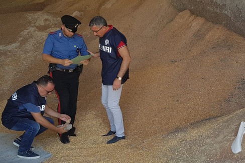 Sequestro granturco Altamura