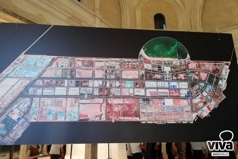mostra on board