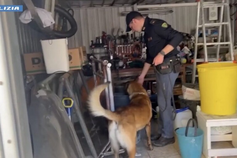 Controlli tra Carbonara, Ceglie del Campo e Japigia: ritirata una pistola