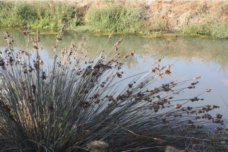 porto naturalistico