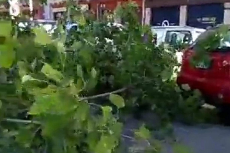 Il ramo caduto in corso Mazzini Il ramo caduto in corso Mazzini