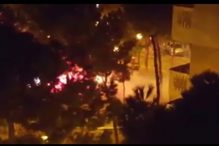 Fumogeni giardino viale della repubblica