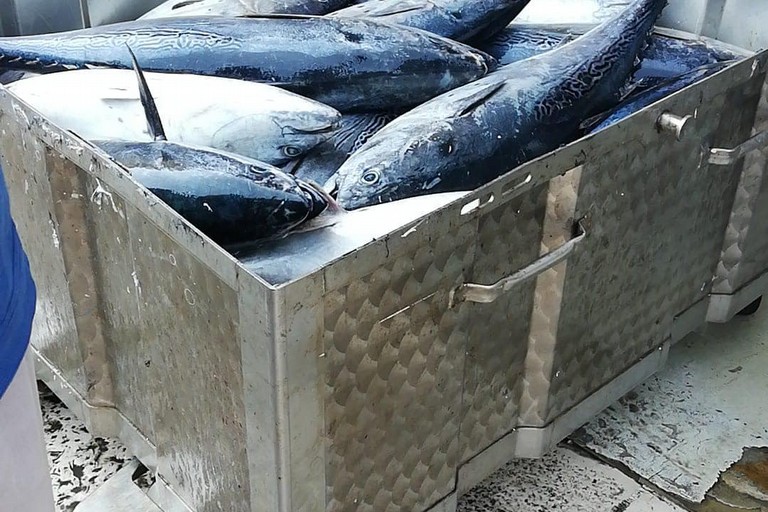 tonni donati incontra