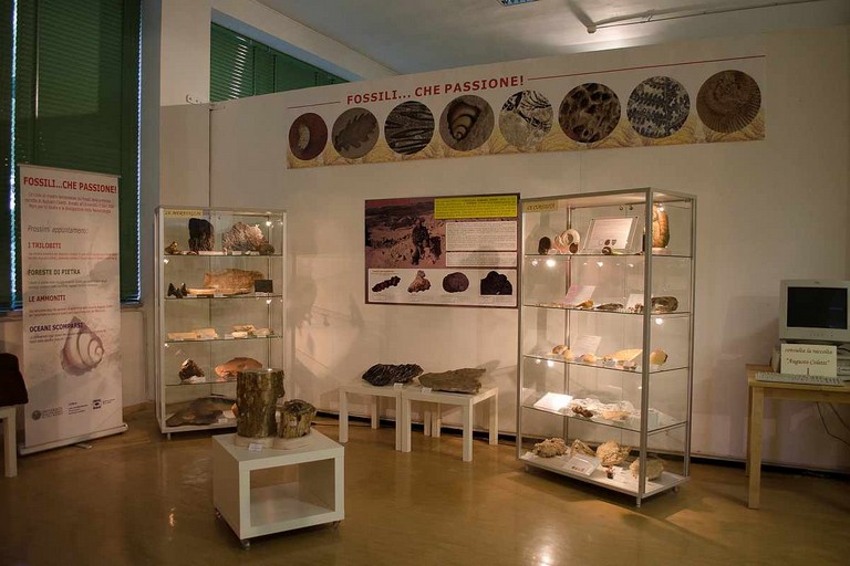 uniba scienze della terra