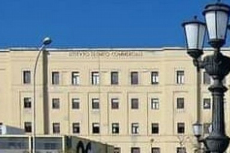Istituto Vivante