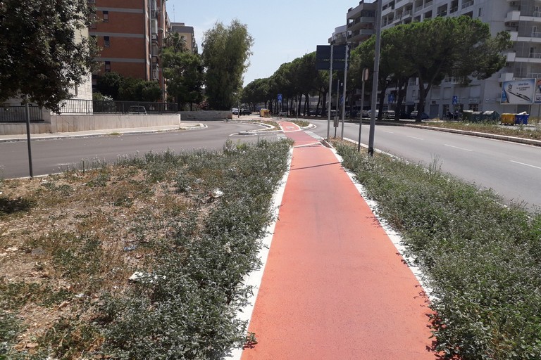 riqualificazione di via Caldarola. <span>Foto Guerino Amoruso</span>