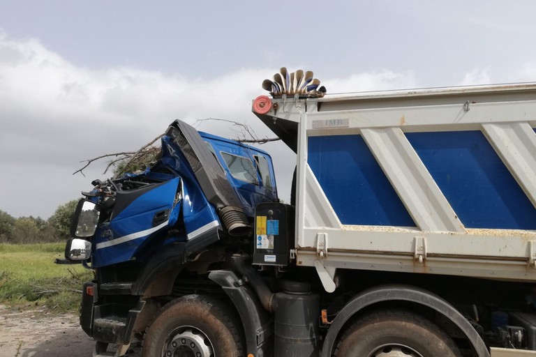 albero su camion via liuzzi