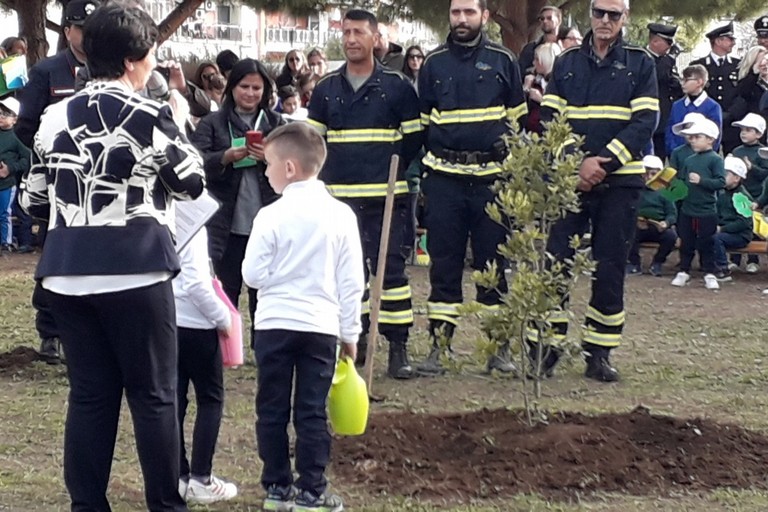 festa dell'albero