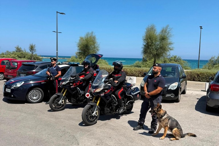 Servizio straordinario di controllo da parte dei Carabinieri